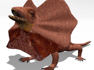 frill necked lizard Modello 3D