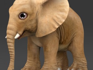 game ready baby elephant Modello 3D