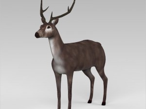 game ready low poly buck Modello 3D