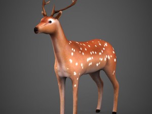 game ready low poly deer Modello 3D