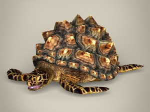 game ready mountain tortoise Modello 3D
