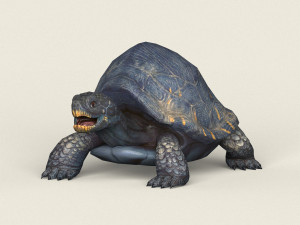 game ready mountain turtle Modello 3D