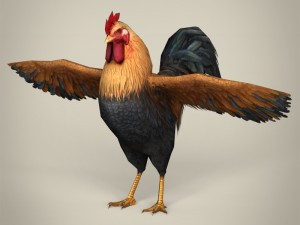 game ready realistic cock Modello 3D