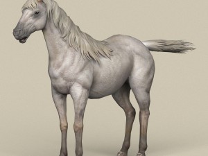 game ready white horse Modello 3D
