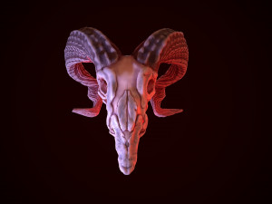 gameready goat skull low-poly Modello 3D