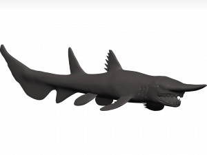 Goblin shark Modello 3D