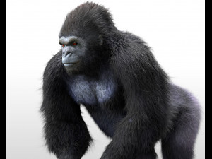 gorilla hairs rigged low poly animal Modello 3D