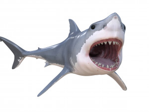 great white shark high poly Modello 3D