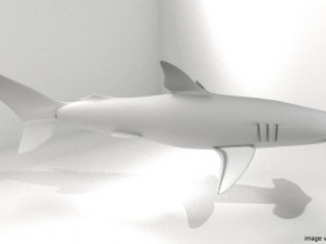 hammerhead shark Modello 3D