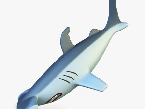 hammerhead shark v 1 Modello 3D