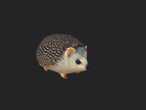 Hedgehog Modello 3D