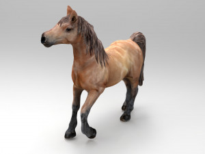 horse Modello 3D
