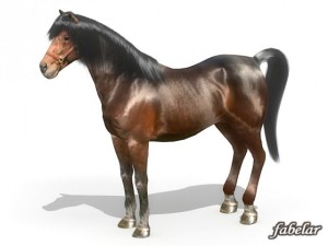 horse Modello 3D