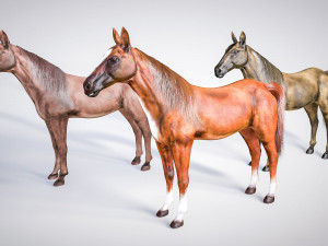 horse animal low poly Modello 3D