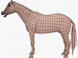 horse base mesh Modello 3D