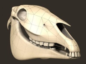 horse skull Modello 3D