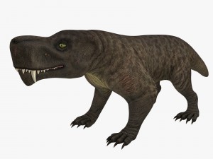 inostrancevia Modello 3D