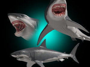 jaws - 3d animated great white shark Modello 3D