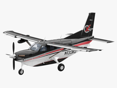 Kodiak 100 Modello 3D