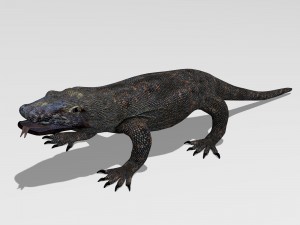 komodo dragon Modello 3D