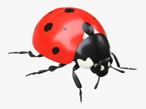 Ladybug Modello 3D
