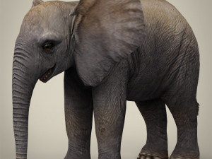 low poly baby elephant Modello 3D