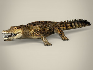 low poly crocodile Modello 3D