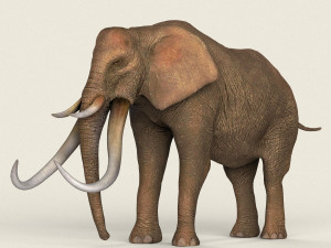 low poly realistic elephant Modello 3D