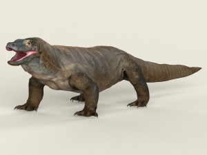 low poly realistic komodo dragon Modello 3D