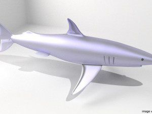 mako shark Modello 3D