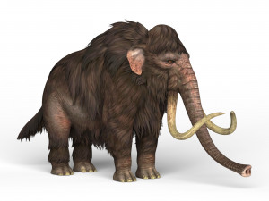 mammoth elephant Modello 3D