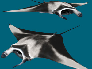 Manta Ray 8K- 3d animated Modello 3D