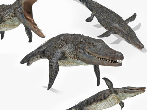 Mosasaurus Rex - 8K animated Modello 3D