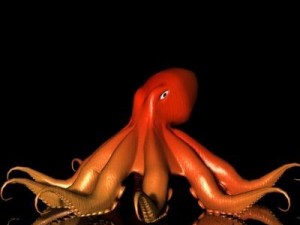 octopus 3d Modello 3D