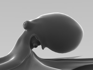 octopus Modello 3D