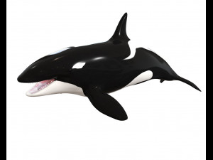 orca killer whale rigged low poly Modello 3D