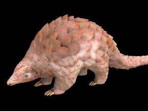 pangolin rigged low poly animal Modello 3D
