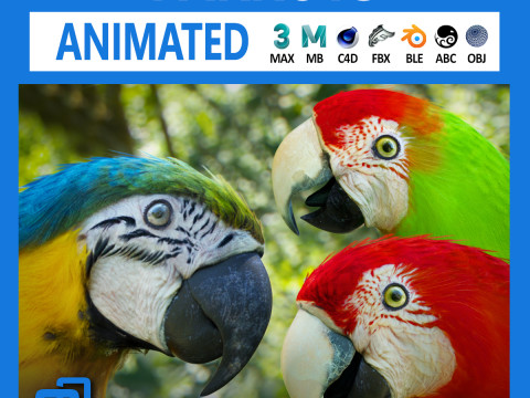 Parrot pack animated Modello 3D