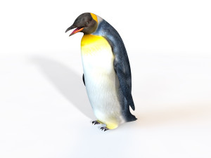 Penguin rigged animal Modello 3D