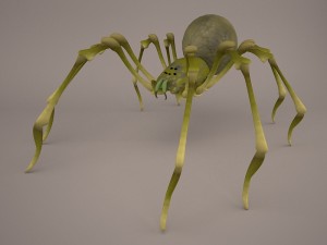 Phoneutria spider Modello 3D