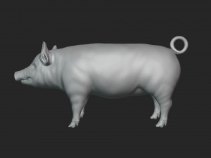 3D Pig Modello 3D