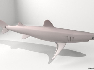 piked shark Modello 3D