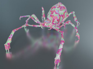 Poisonous spider Modello 3D