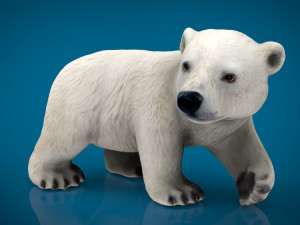 polar bear babe Modello 3D