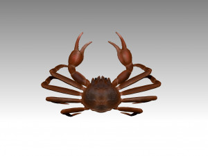 queen crab Modello 3D