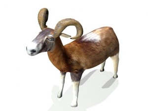 ram Modello 3D