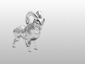 Ram Modello 3D