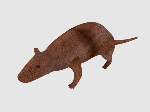 Rat Modello 3D