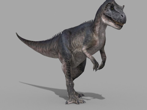 Real Animated Allosaurus - 8K Modello 3D