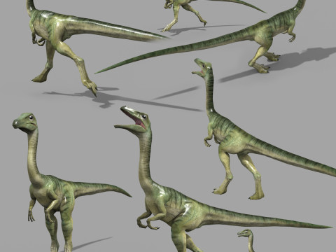 Real Animated Compsognathus - 8K Modello 3D